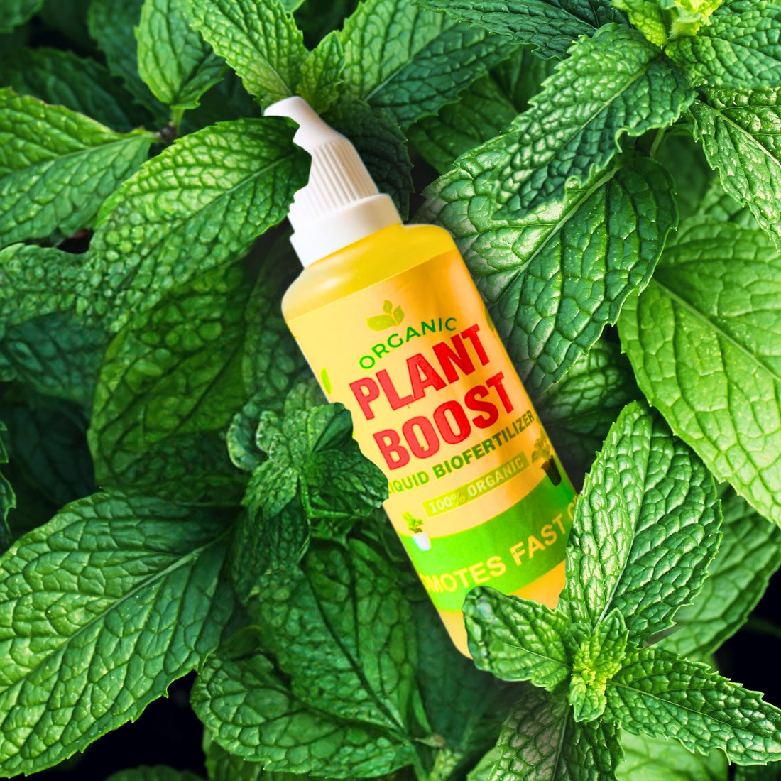 Organic Plant Boost Liquid Biofertilizer