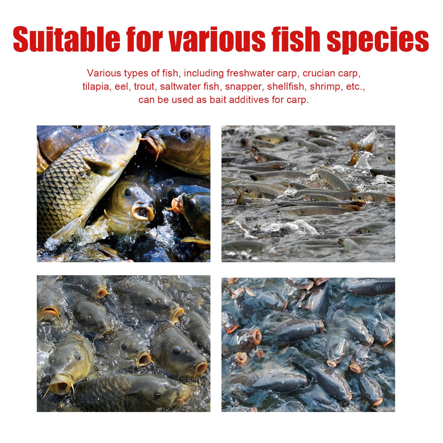 Powerful Fish Catching Liquid