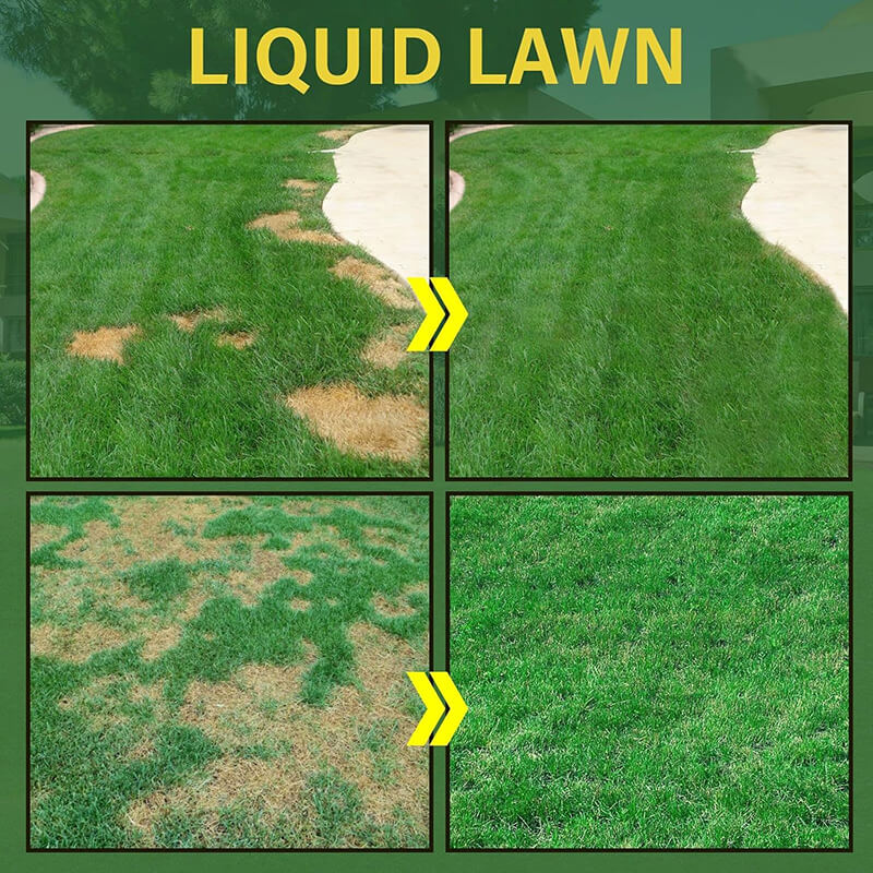 GREEN GRASS & PEST CONTROL LAWN SPRAY-ONLY